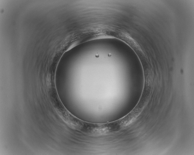 X0000068840213200605051310