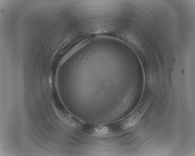 X0000068840214200605051310