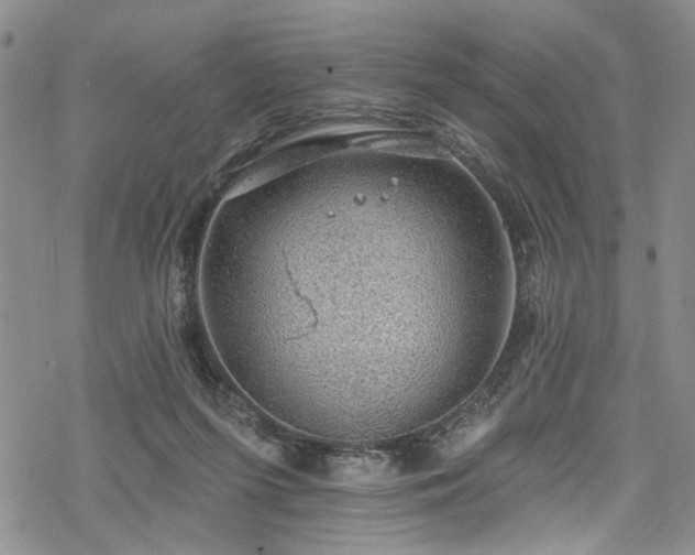 X0000068840215200605051310