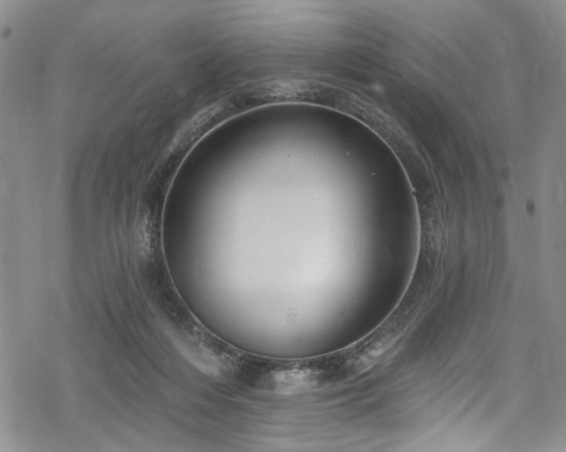 X0000068840216200605051310