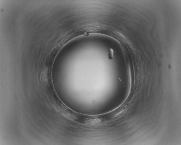 X0000068840217200605051310