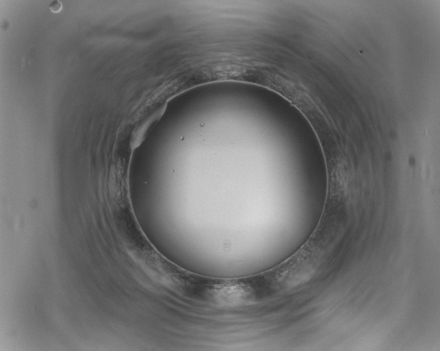 X0000068840218200605051310