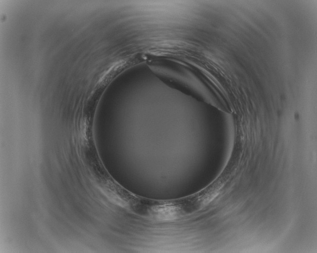 X0000068840219200605051310