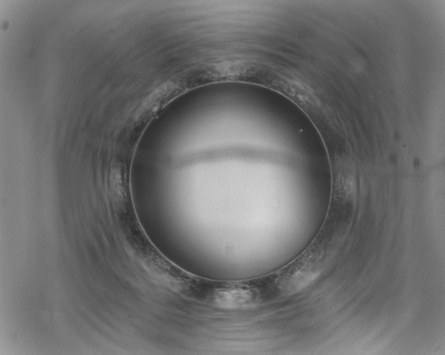 X0000068840220200605051310