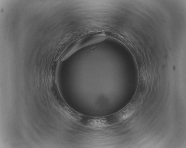 X0000068840223200605051310