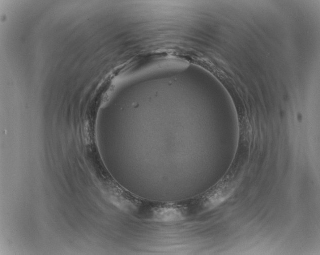 X0000068840224200605051310