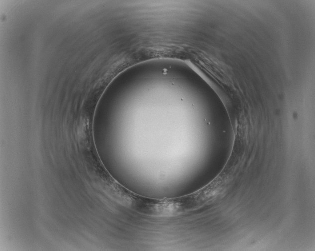 X0000068840225200605051310