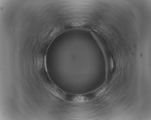 X0000068840227200605051310