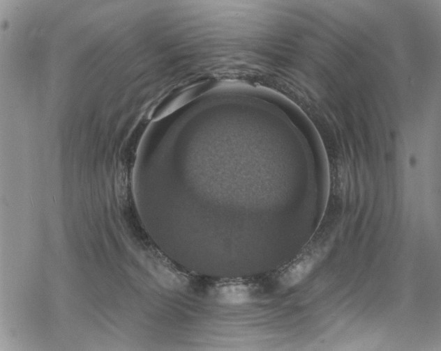 X0000068840228200605051310