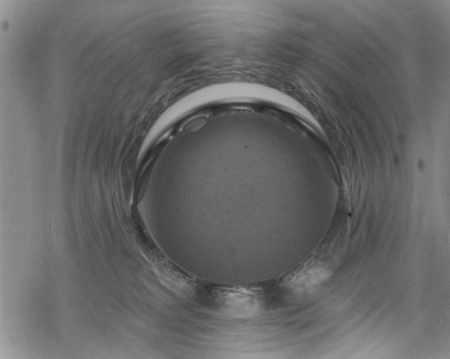 X0000068840229200605051310