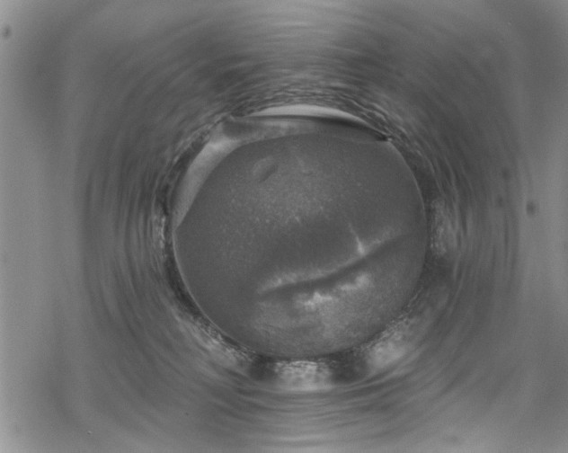 X0000068840230200605051310