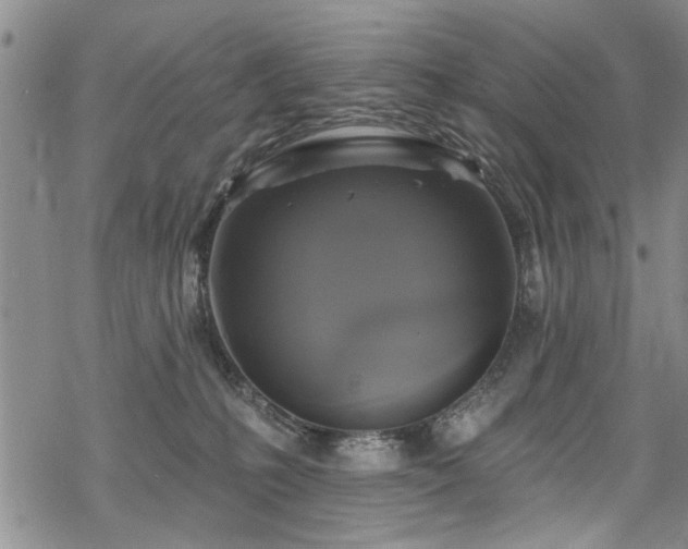 X0000068840231200605051310