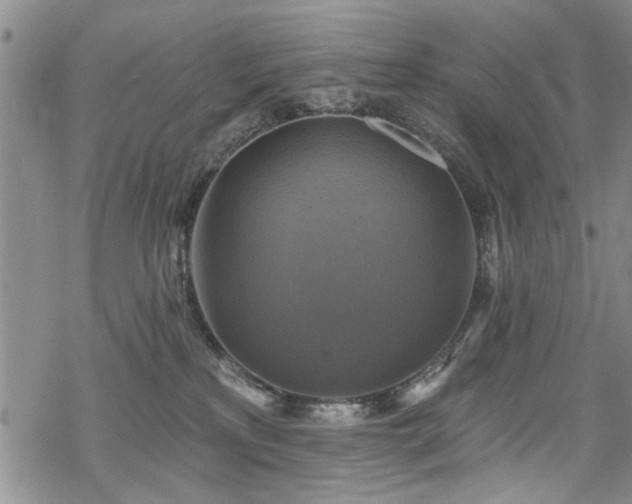 X0000068840233200605051310