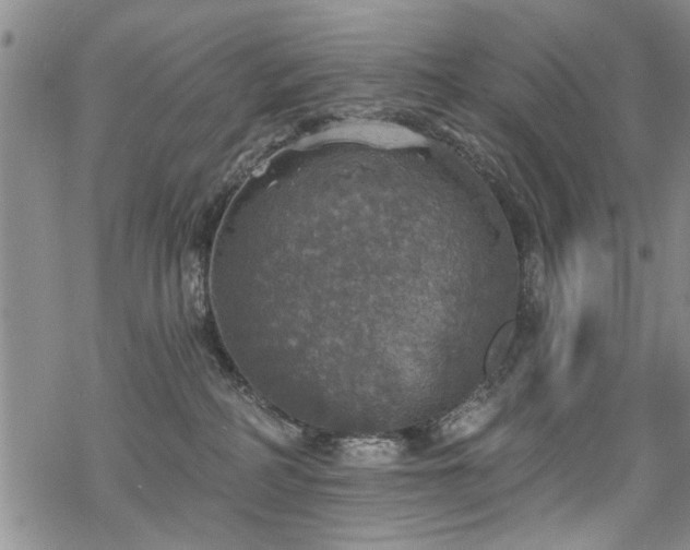 X0000068840234200605051310