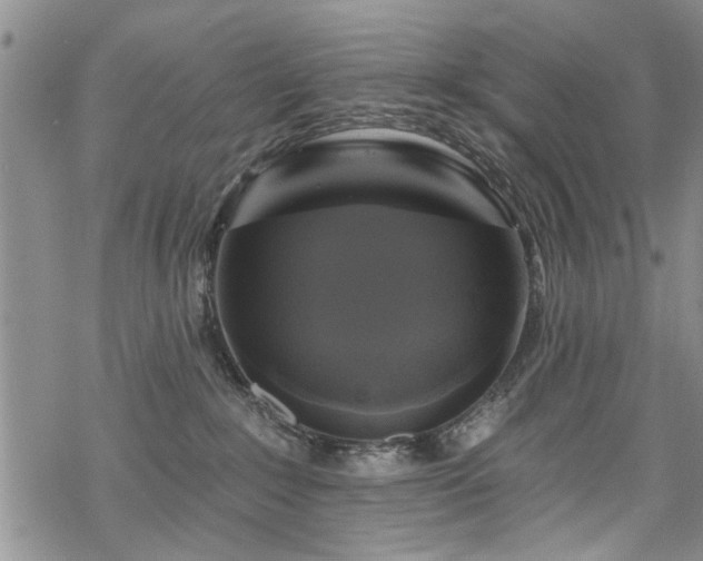 X0000068840235200605051310