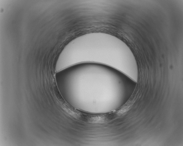 X0000068840237200605051310