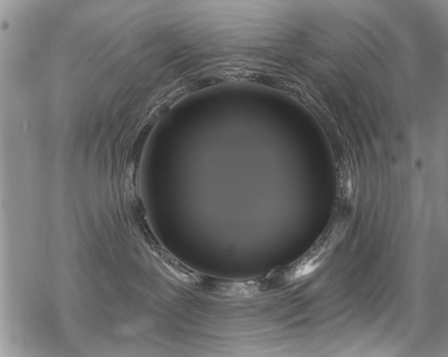 X0000068840239200605051309