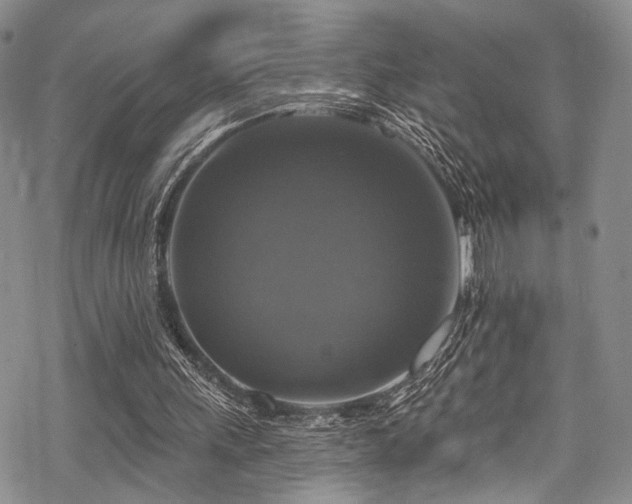 X0000068840243200605051309