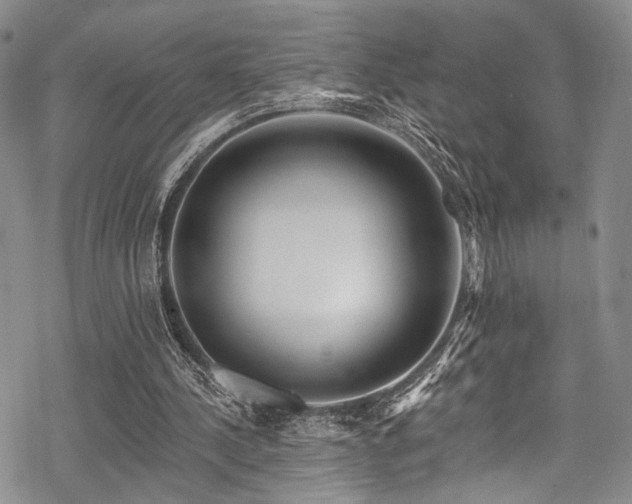 X0000068840244200605051309