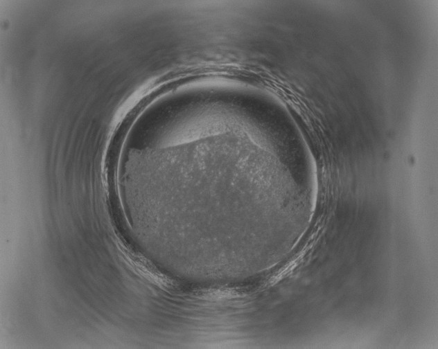 X0000068840246200605051309