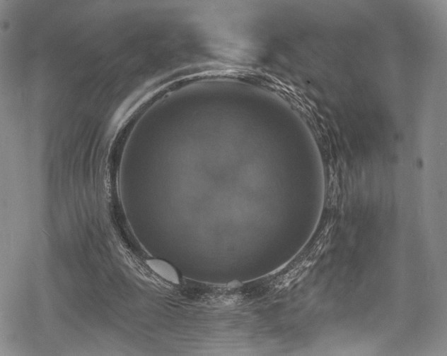 X0000068840247200605051309