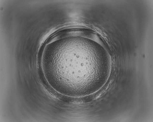 X0000068840248200605051309