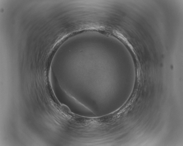 X0000068840249200605051309