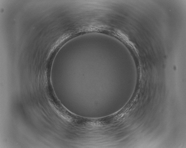 X0000068840250200605051309