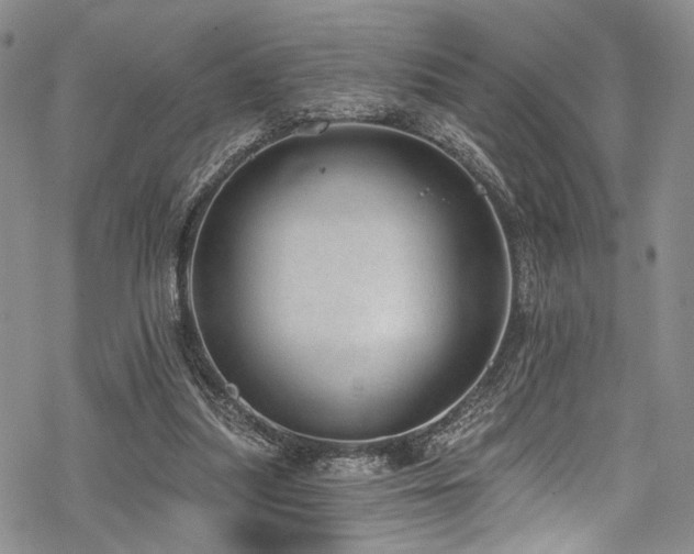 X0000068840251200605051309