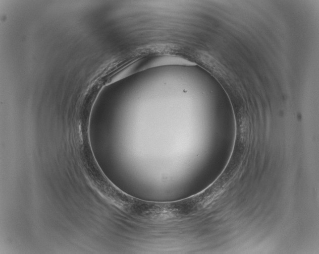 X0000068840254200605051309