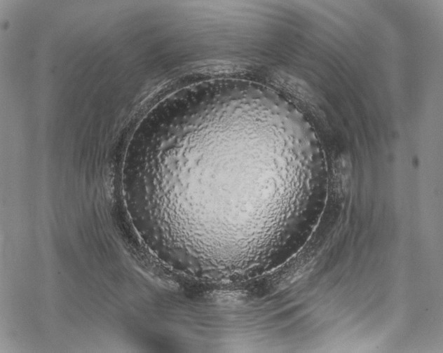 X0000068840255200605051309