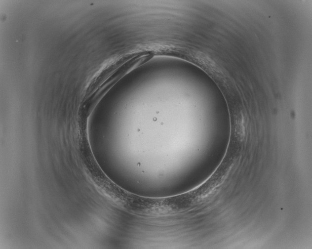 X0000068840256200605051309