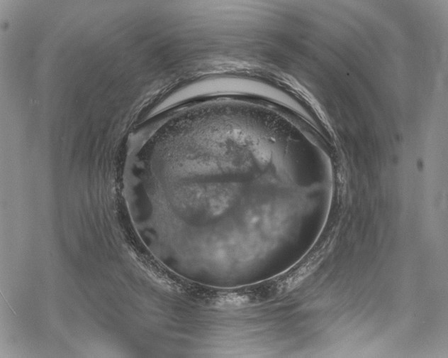 X0000068840257200605051309