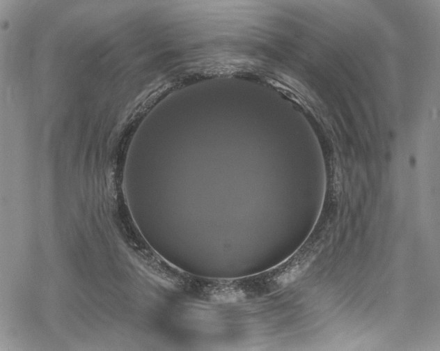 X0000068840258200605051309