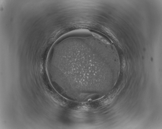 X0000068840259200605051309