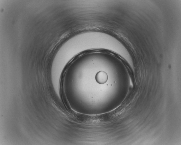 X0000068840260200605051309