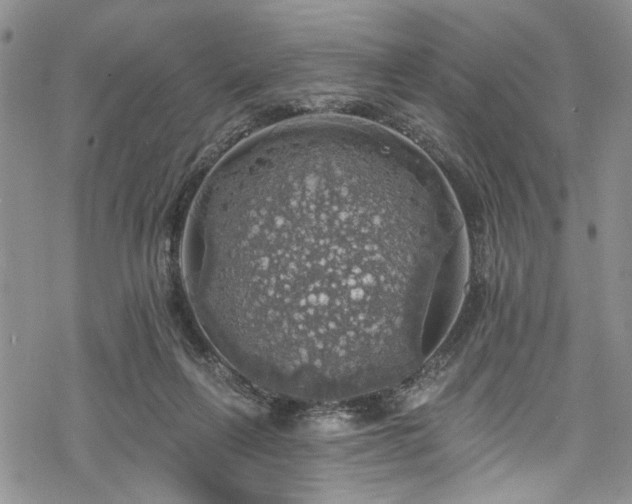 X0000068840263200605051309