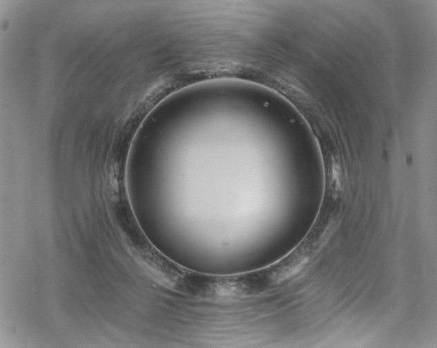 X0000068840264200605051309