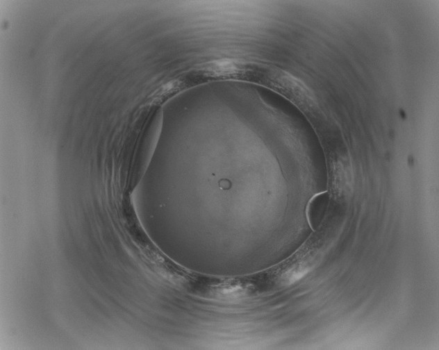 X0000068840267200605051309