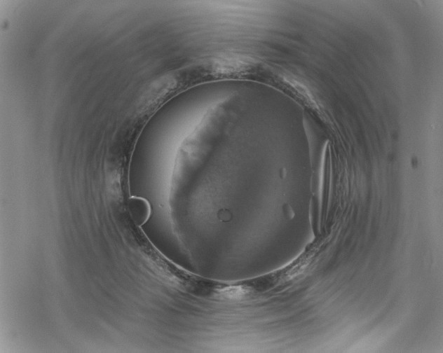 X0000068840269200605051309