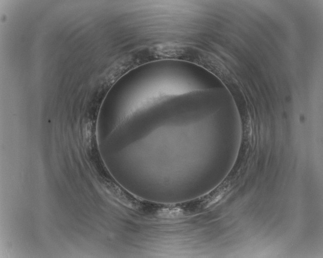 X0000068840271200605051309