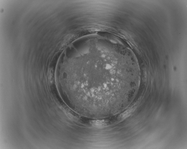 X0000068840273200605051309