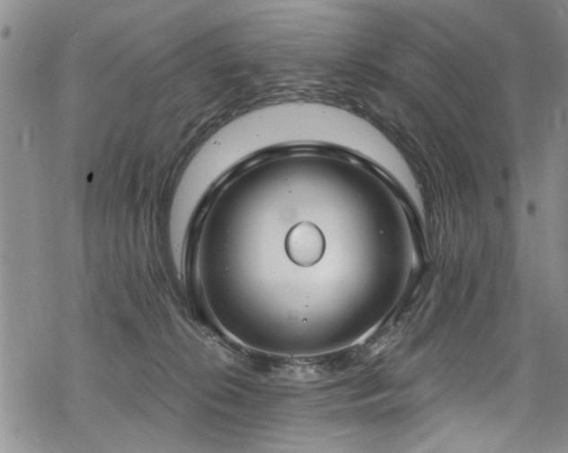 X0000068840276200605051309