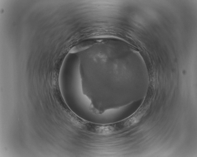 X0000068840277200605051309