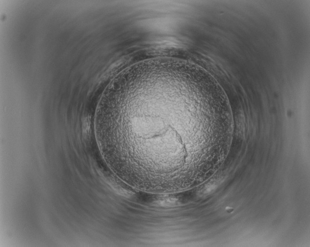 X0000068840278200605051309