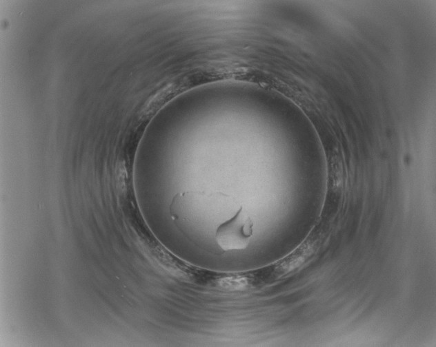 X0000068840279200605051309