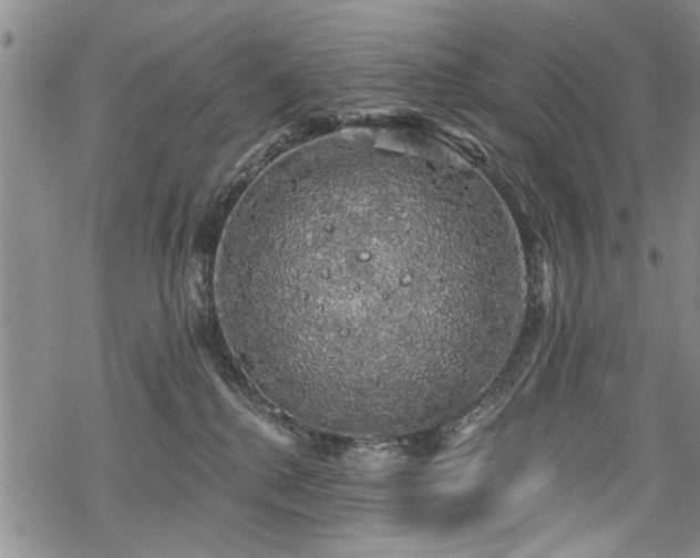 X0000068840280200605051309