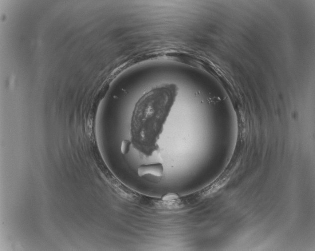 X0000068840281200605051309