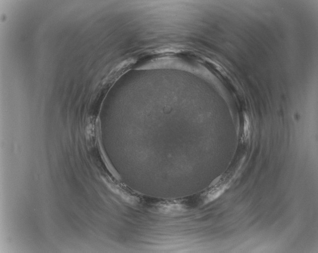 X0000068840284200605051309