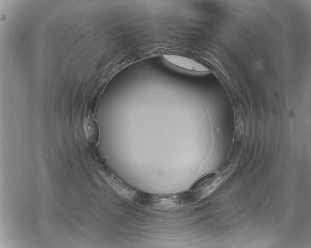 X0000068840285200605051309